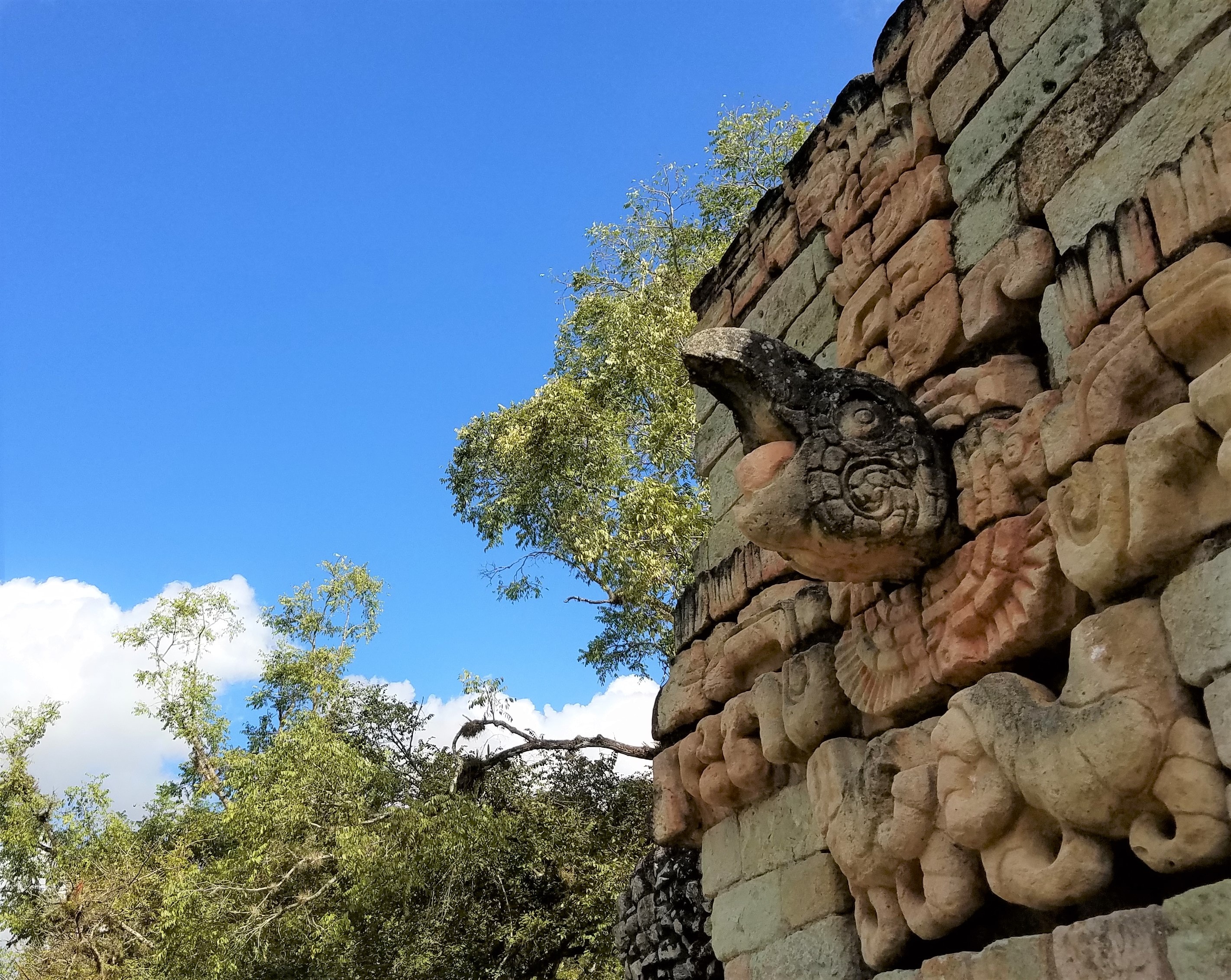 Carved macaw head on the ballcourt wall at Copan Ruinas, Honduras
