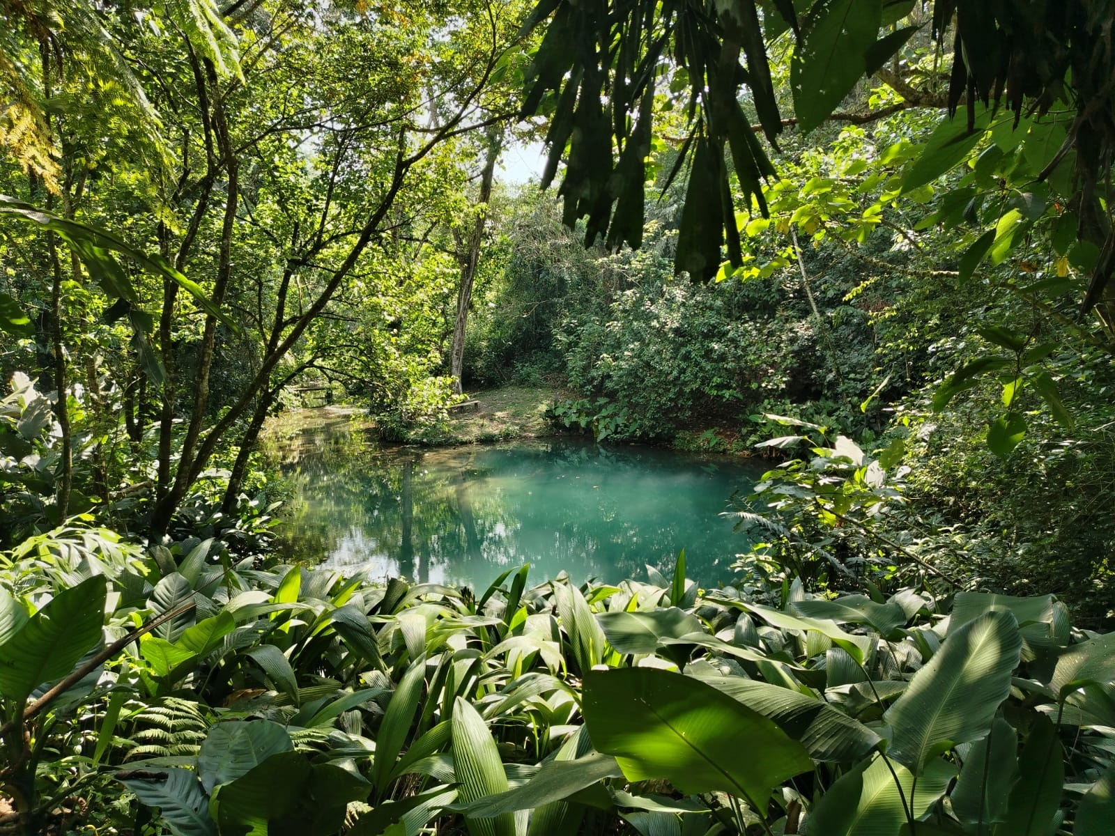 Turquoise jungle pool at BioParque Paradise